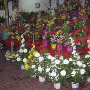 Flower shop in downtown Zihuatanejo