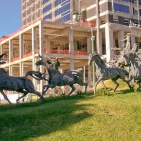 The Stampede, Glorieta de las Jicamas 1