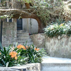 Back entrance to Museo Dolores Olmedo